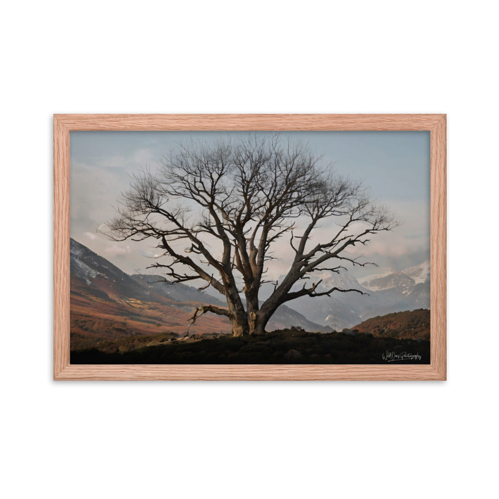 Withstand Time - Framed Paintography