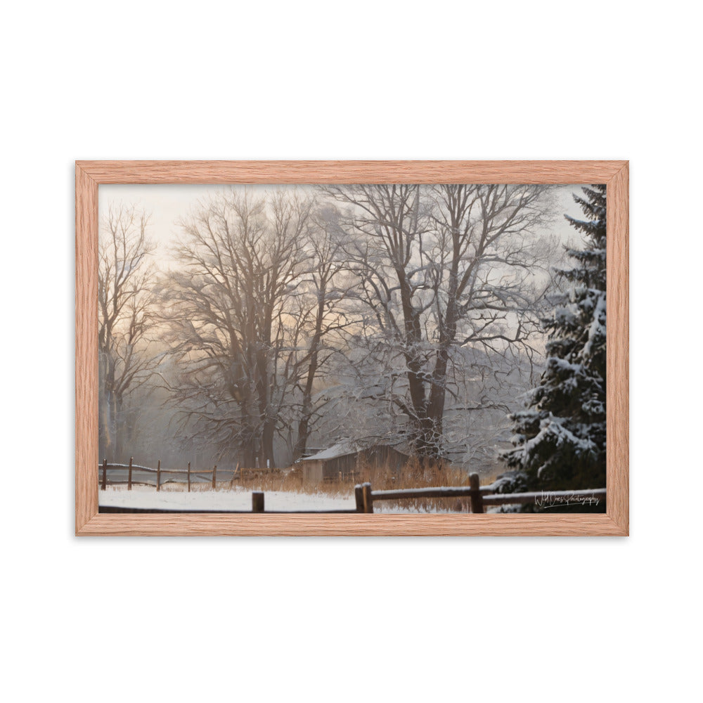 Winter Wonder Shed - Framed Paintography
