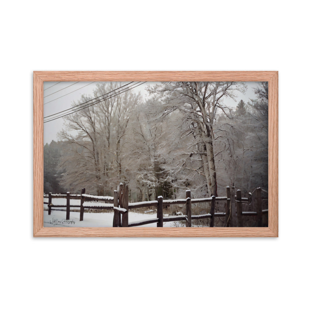 Winter Wonder - Framed Paintography