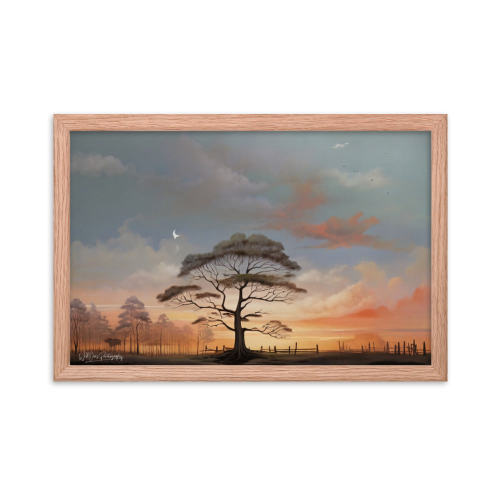 Solo Canopy Sunset - Framed Paintography