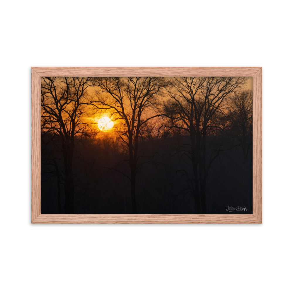 Setting Sun - Framed Paintography