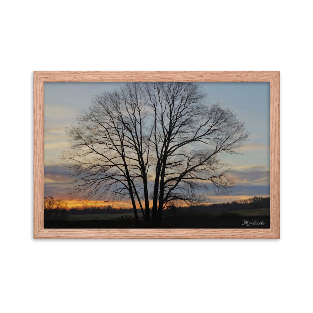 Setting Sun Tree - Framed Paintography