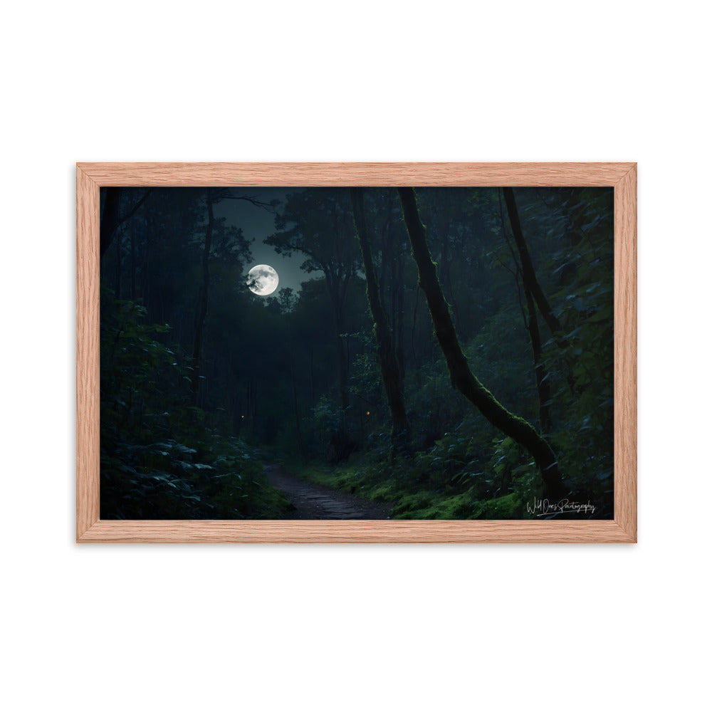 Moonlit Pathway - Framed Paintography