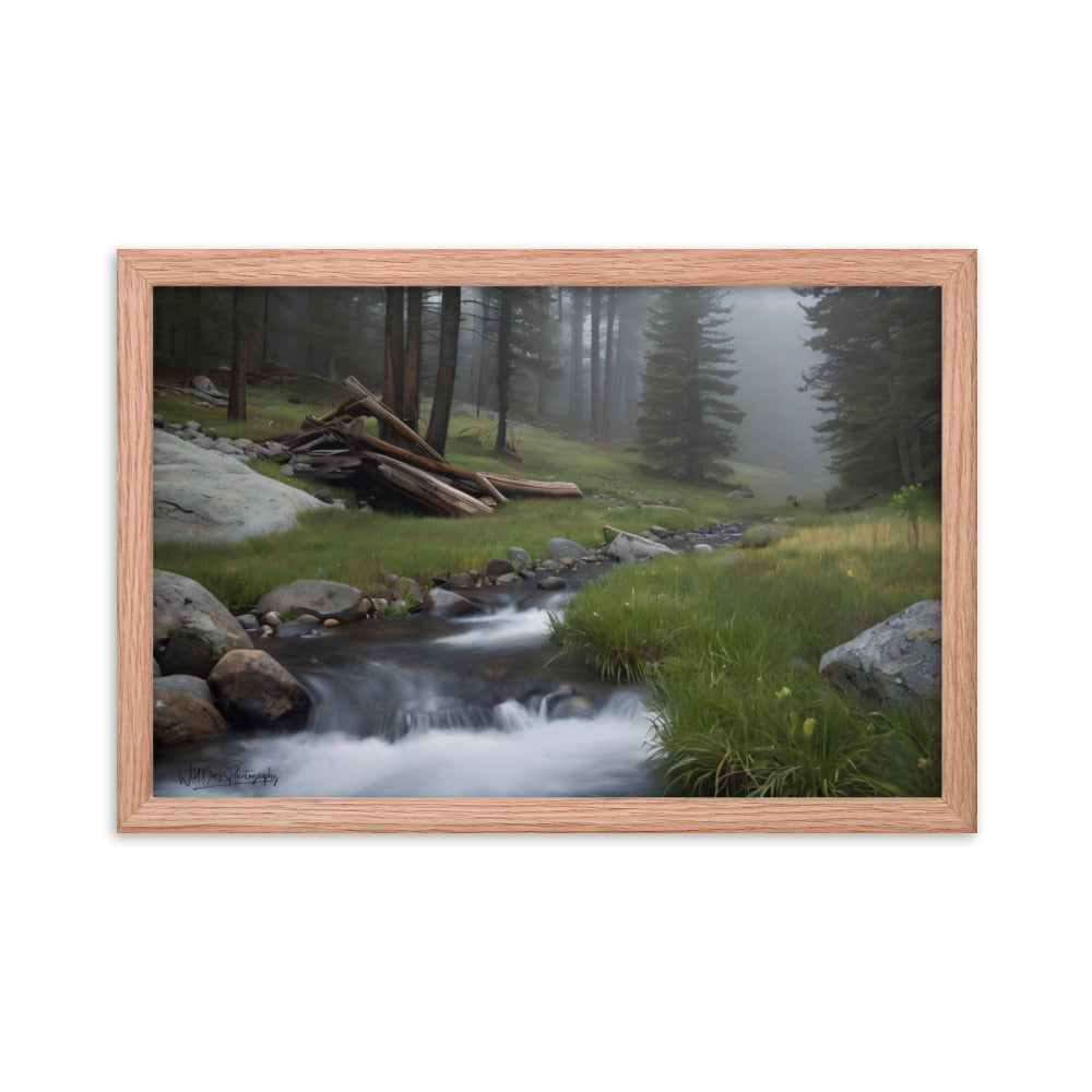 Misty Woodland Stream - Framed Paintography
