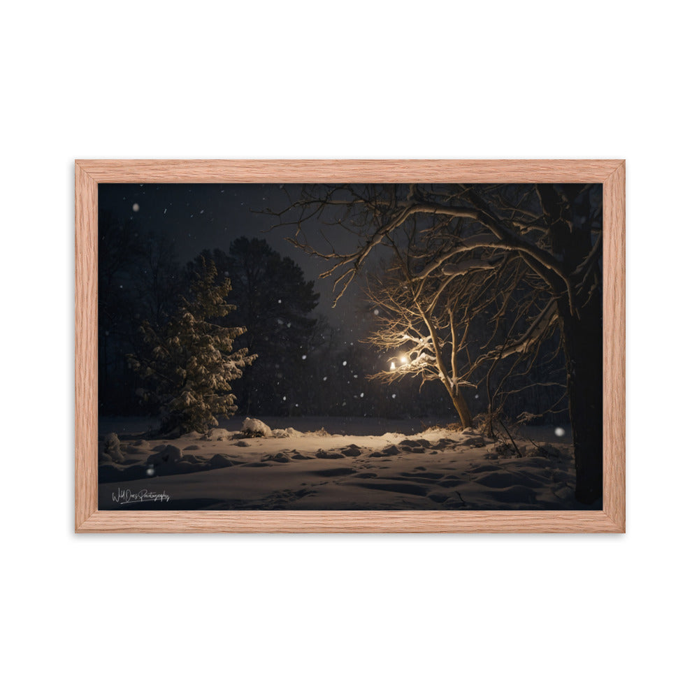 Midnight Snow - Framed Paintography