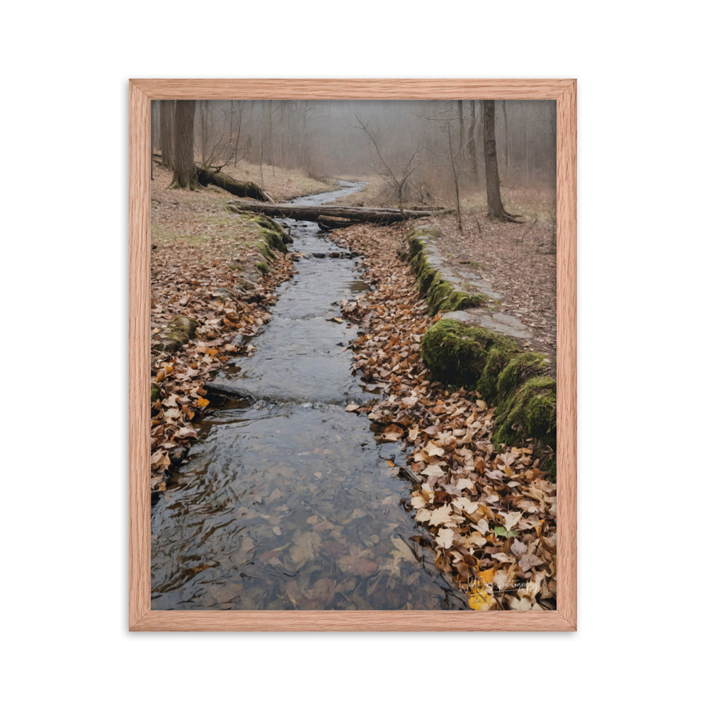 Woodland Stream - Framed Paintography