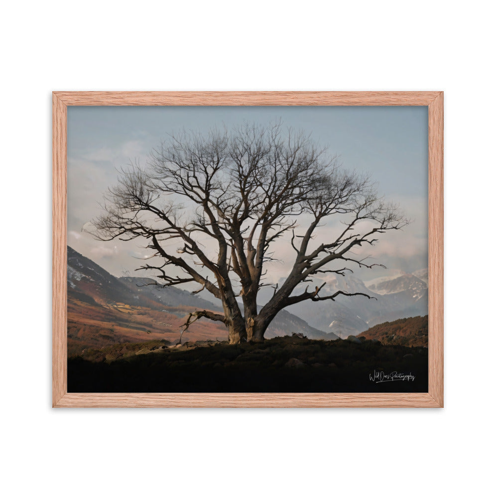Withstand Time - Framed Paintography