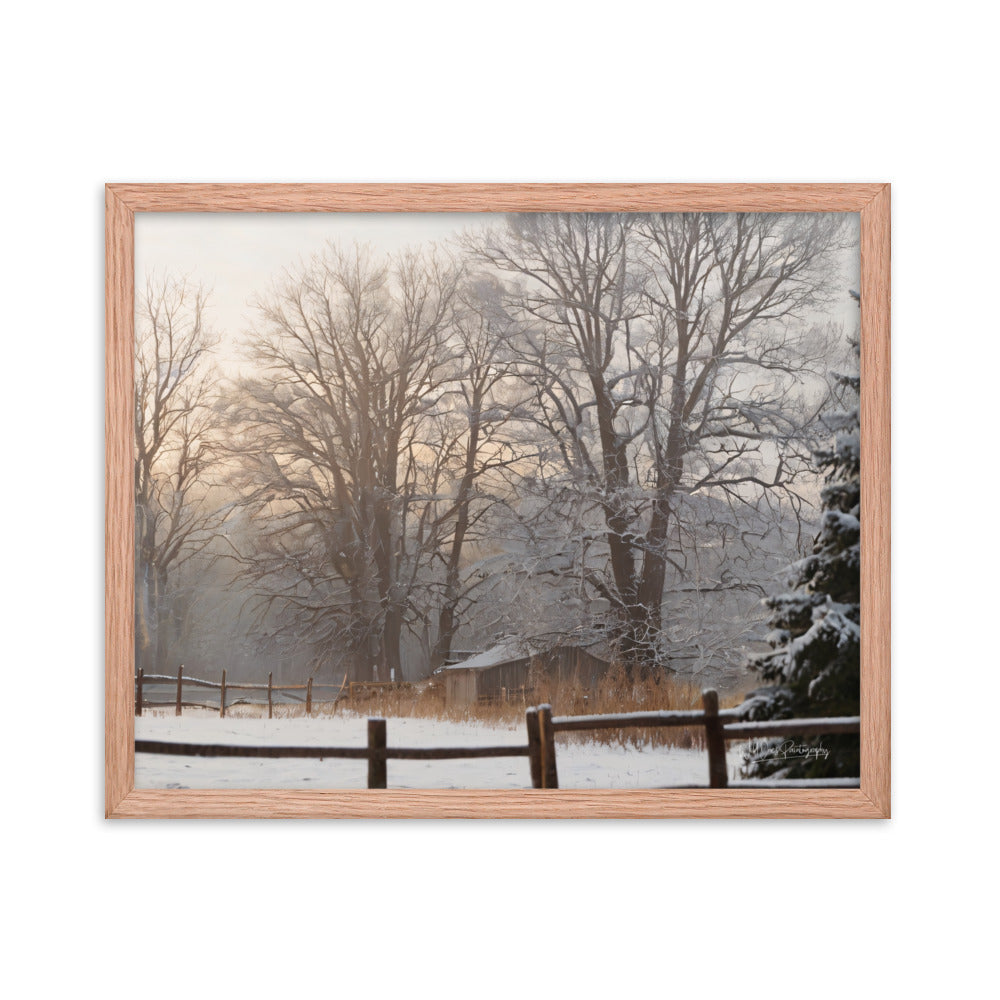 Winter Wonder Shed - Framed Paintography