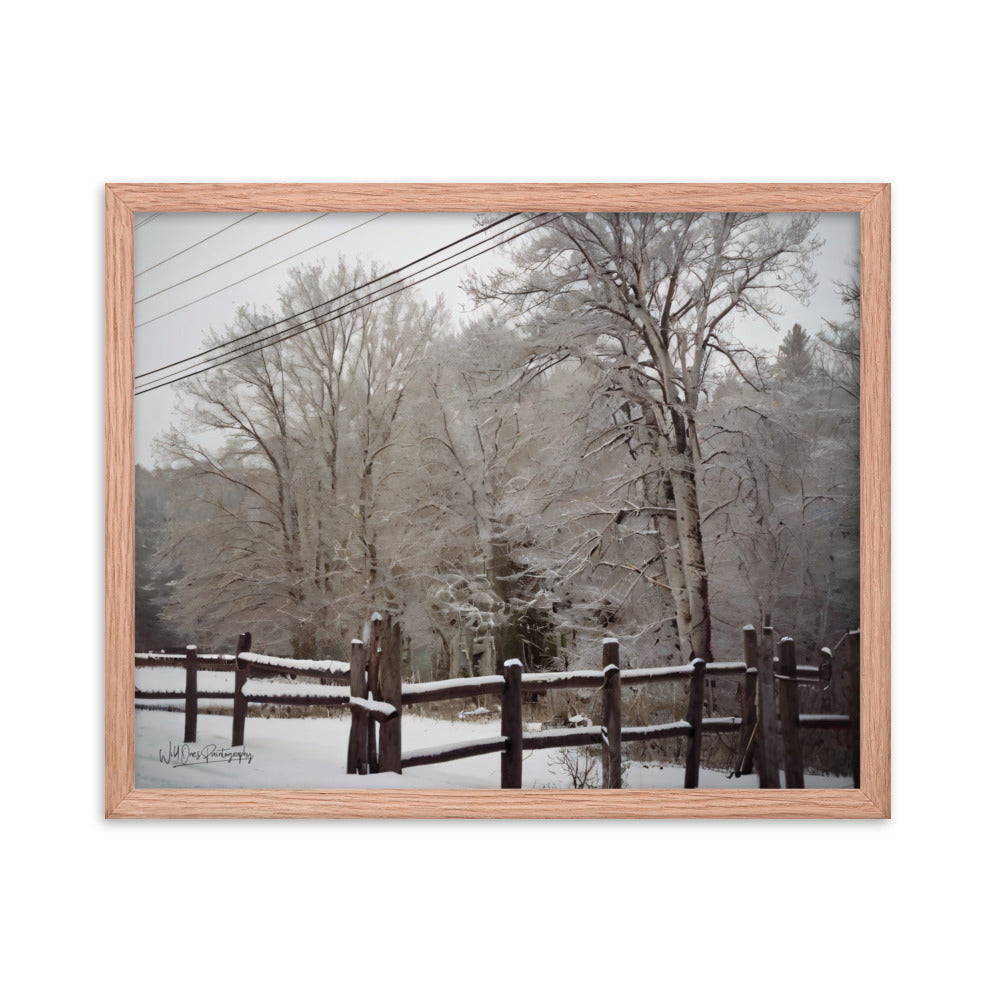 Winter Wonder - Framed Paintography