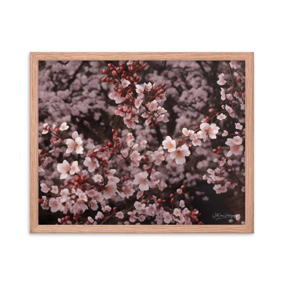 Spring Blossom - Framed Paintography