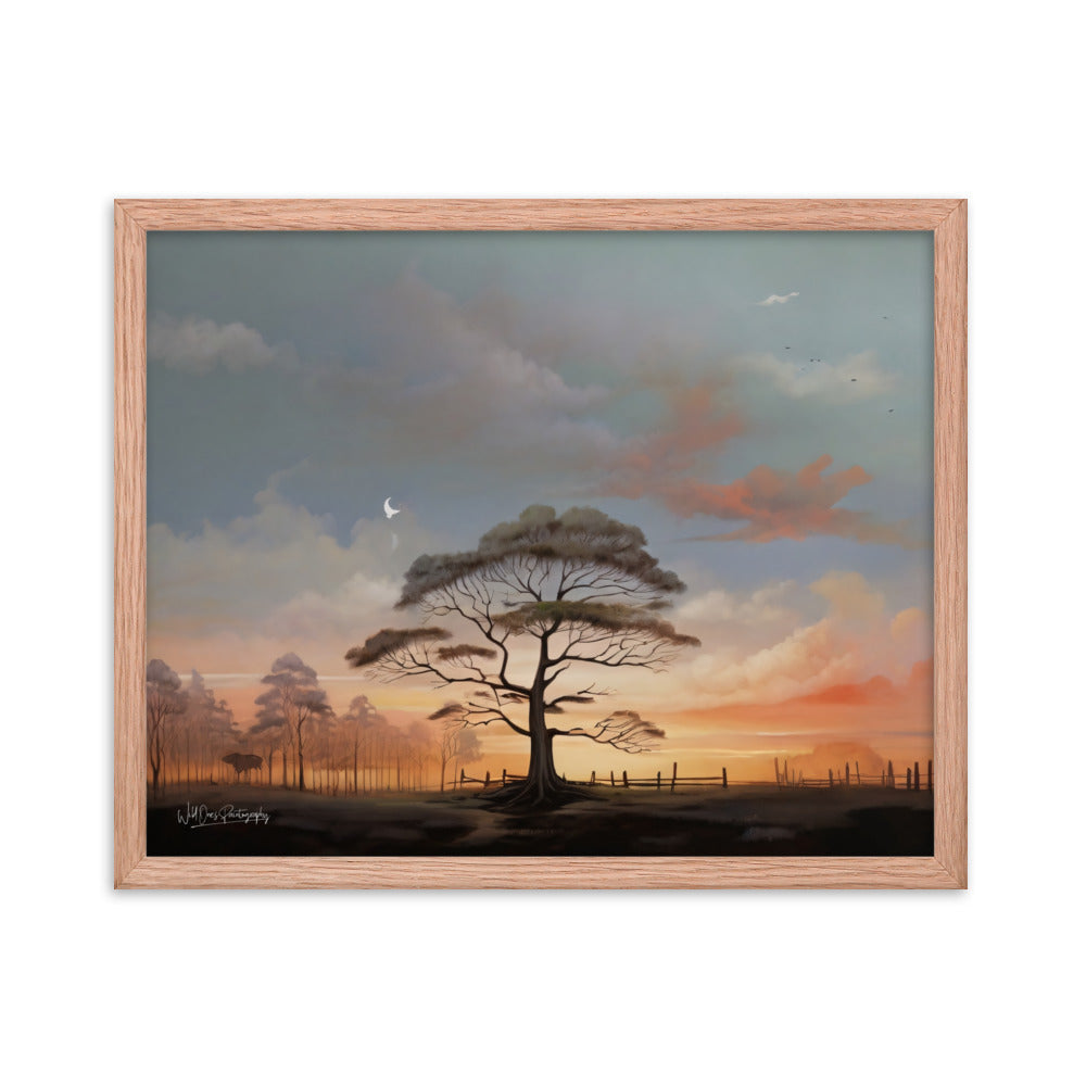 Solo Canopy Sunset - Framed Paintography