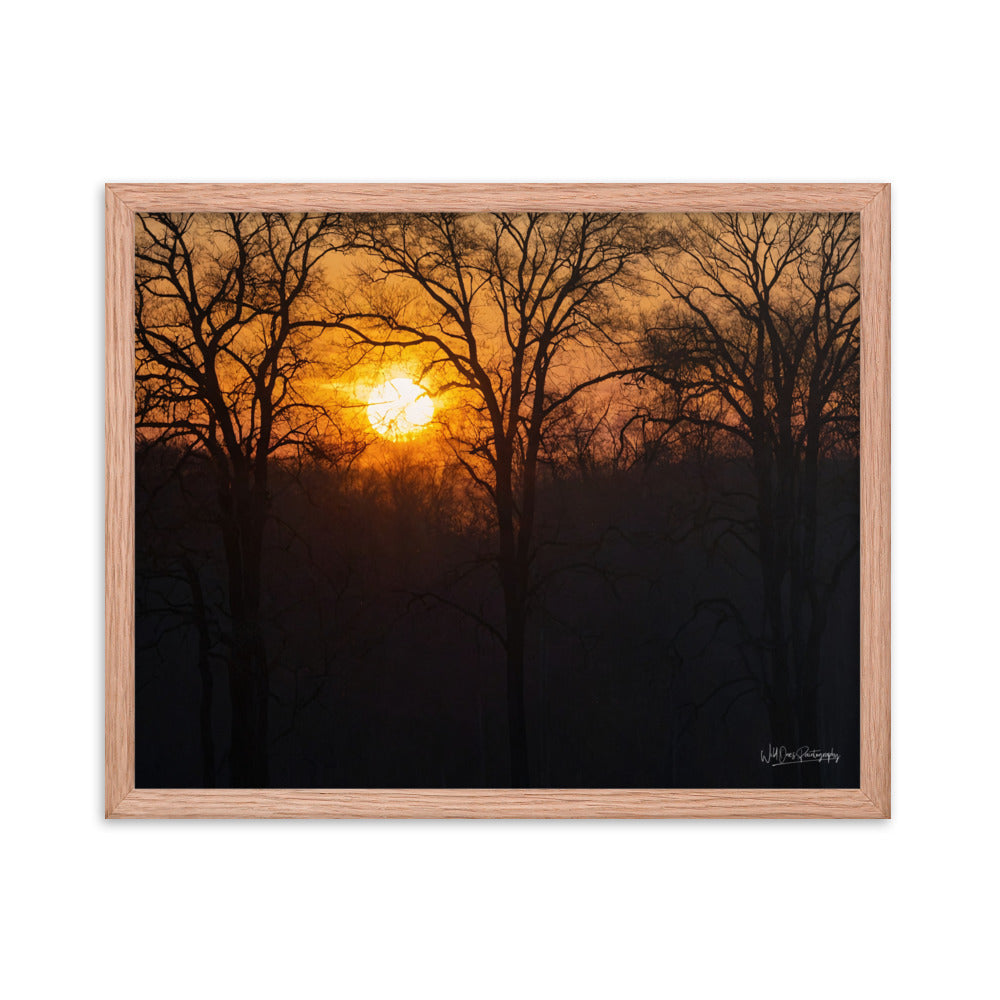 Setting Sun - Framed Paintography