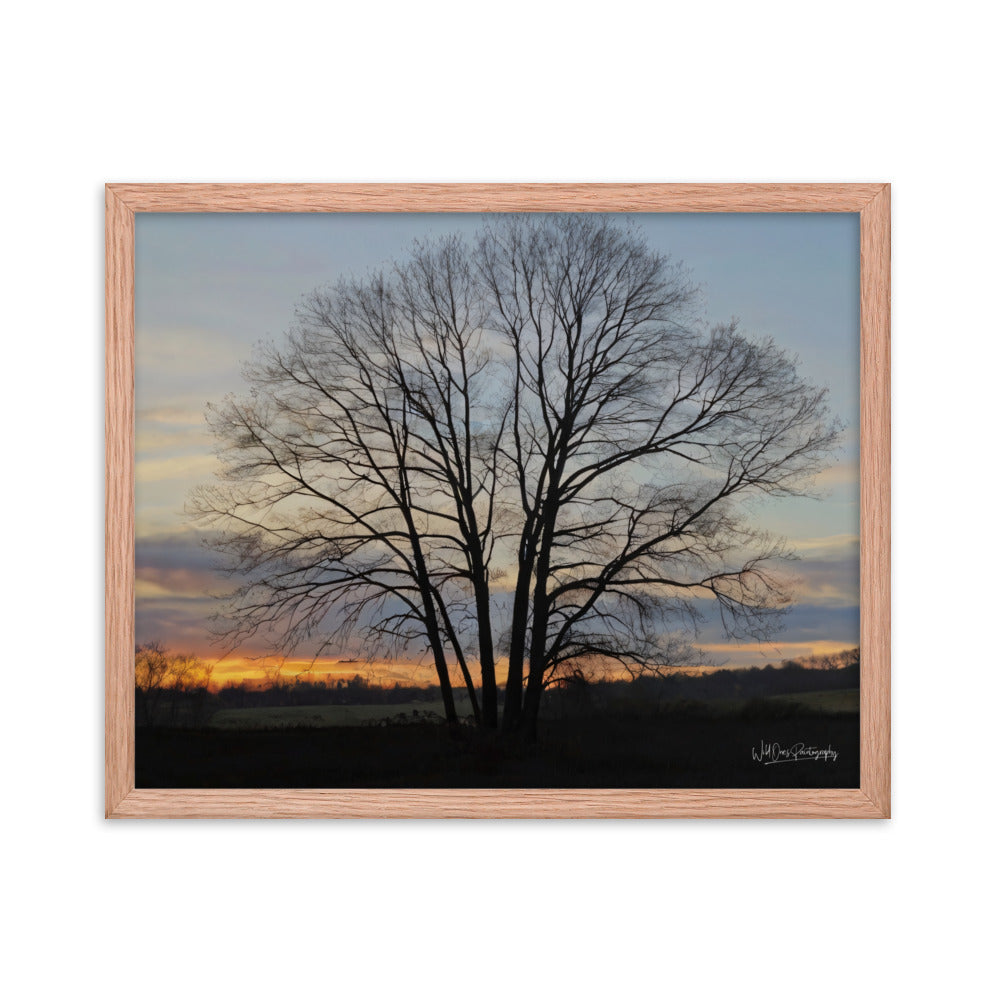 Setting Sun Tree - Framed Paintography