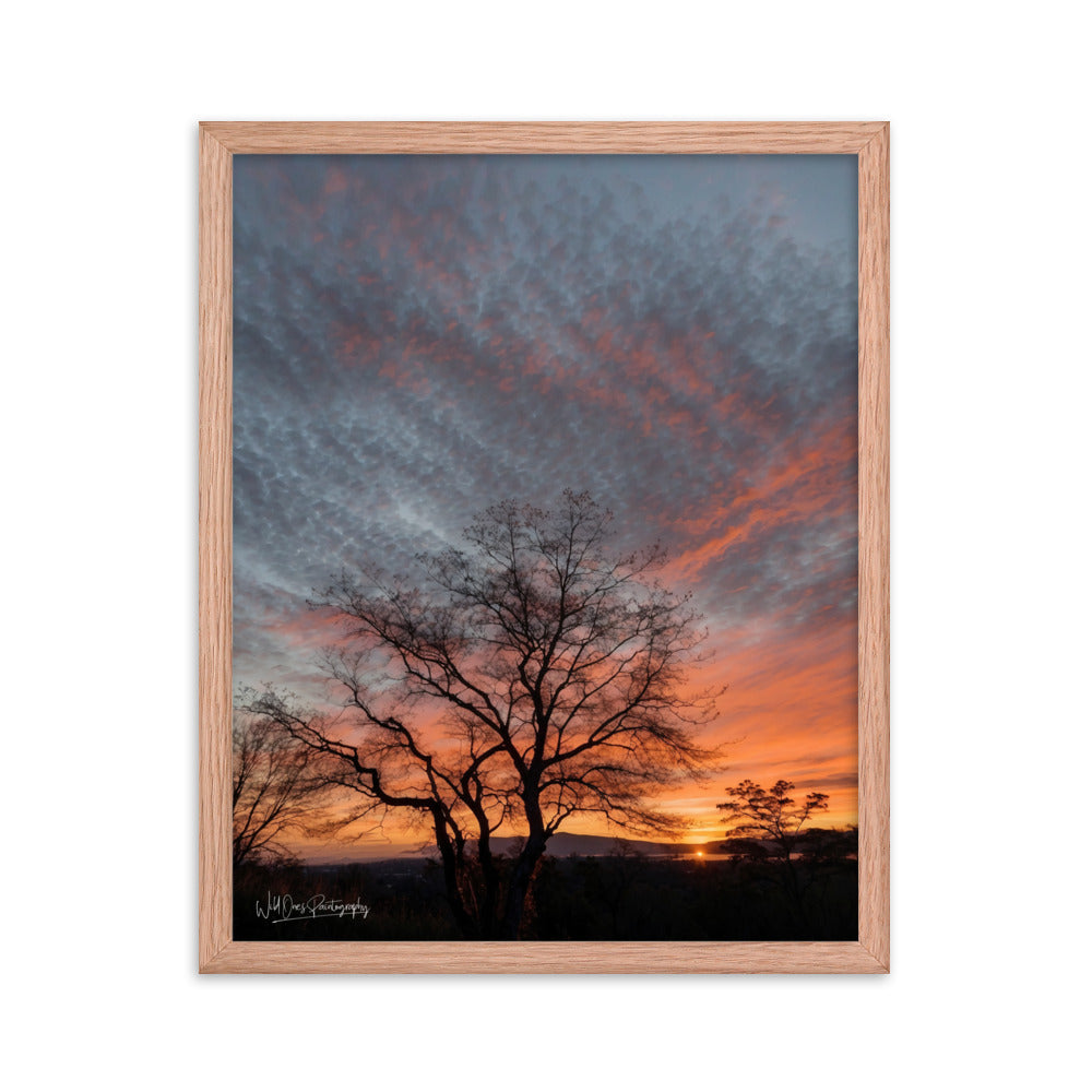 Scenic Sunset - Framed Paintography