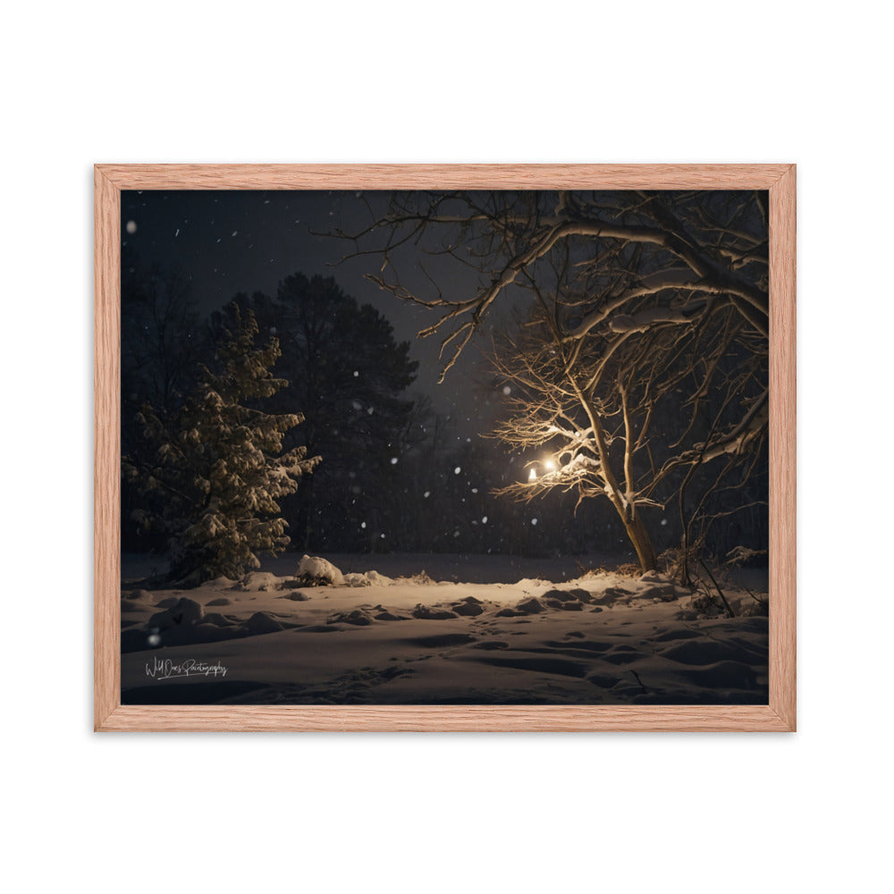 Midnight Snow - Framed Paintography