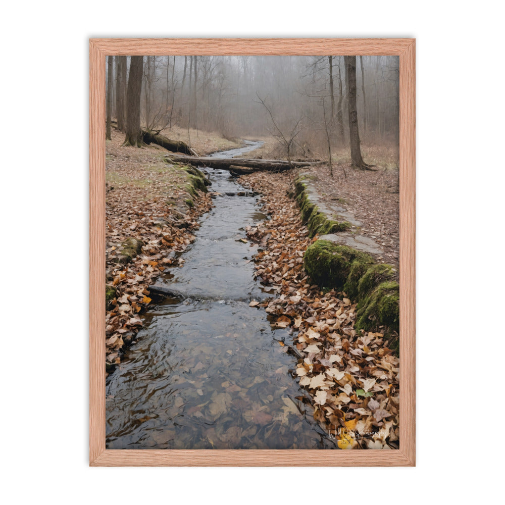Woodland Stream - Framed Paintography