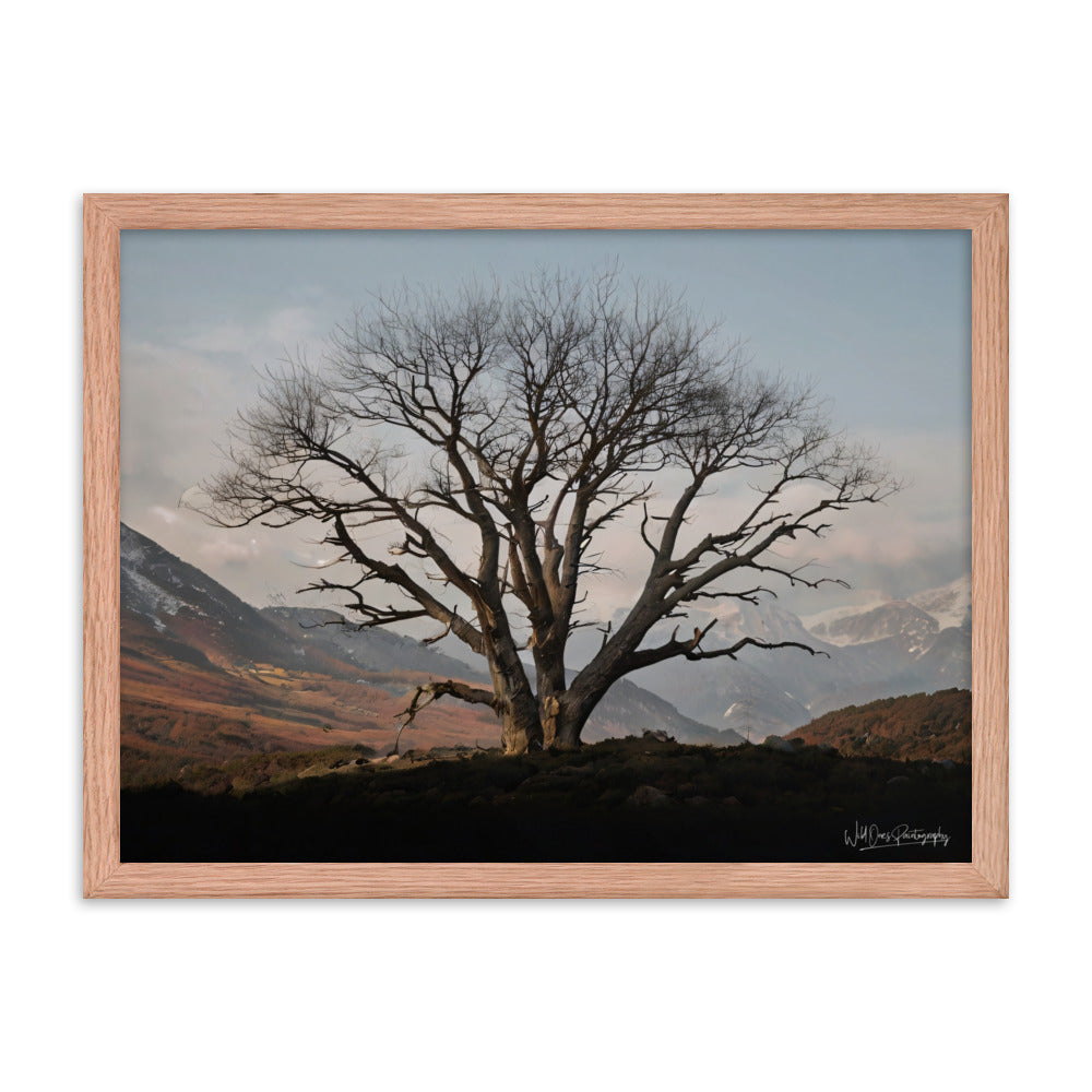 Withstand Time - Framed Paintography