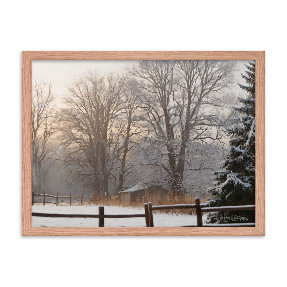 Winter Wonder Shed - Framed Paintography