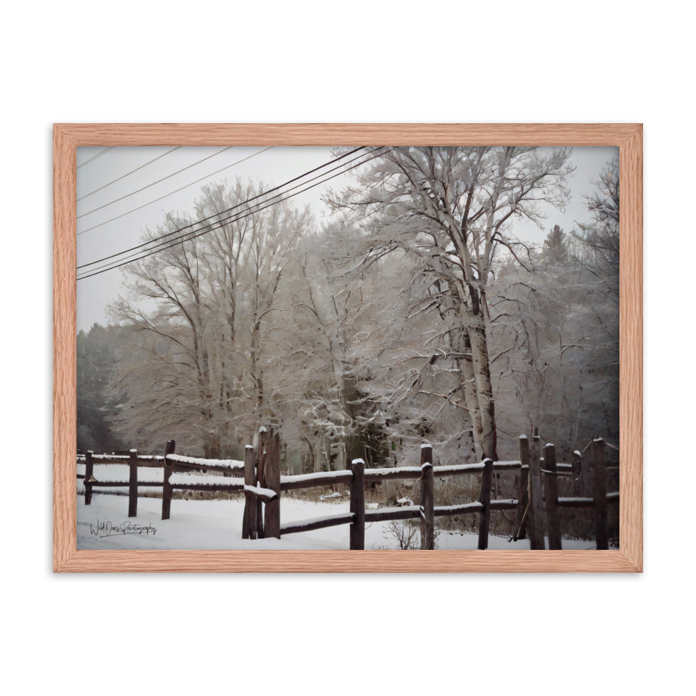 Winter Wonder - Framed Paintography