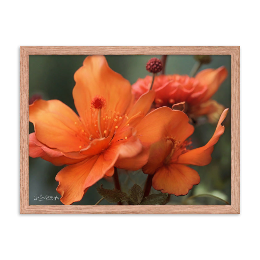Tiger Lily - Framed Paintography