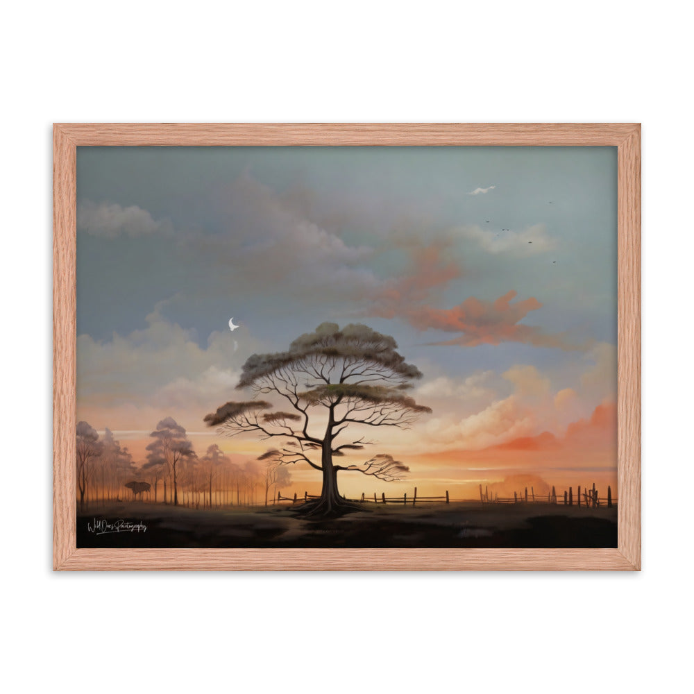 Solo Canopy Sunset - Framed Paintography