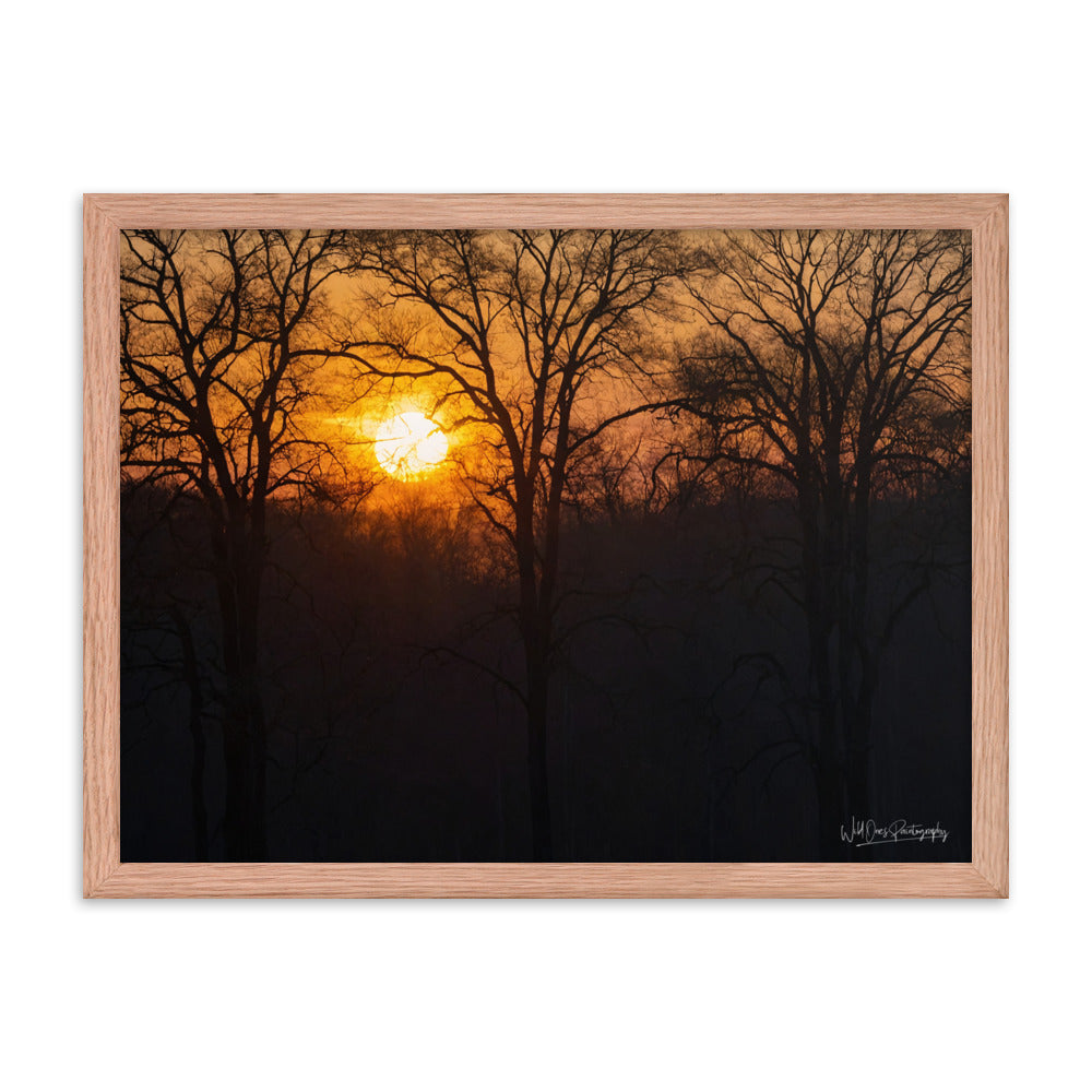 Setting Sun - Framed Paintography