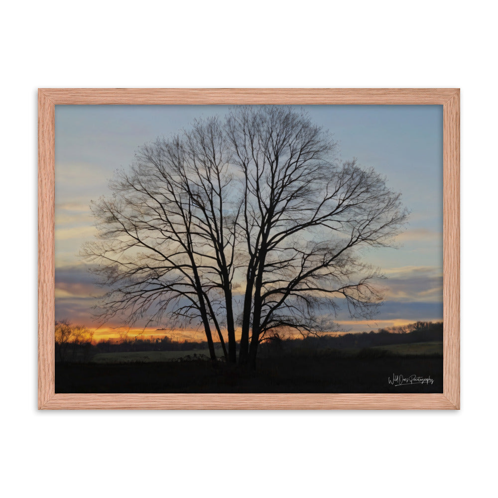 Setting Sun Tree - Framed Paintography