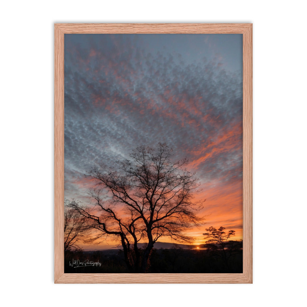 Scenic Sunset - Framed Paintography