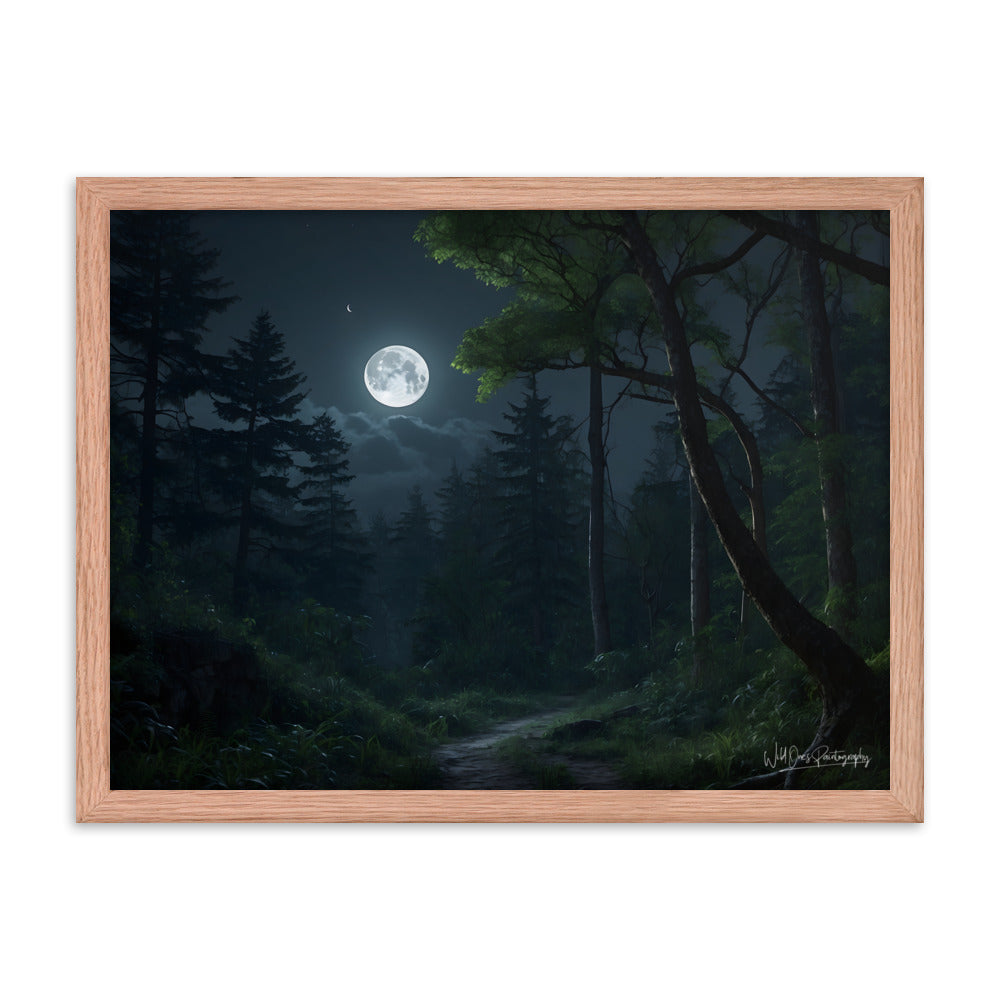 Moonlit Path - Framed Paintography