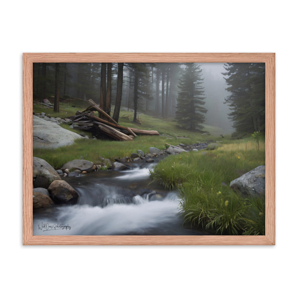 Misty Woodland Stream - Framed Paintography
