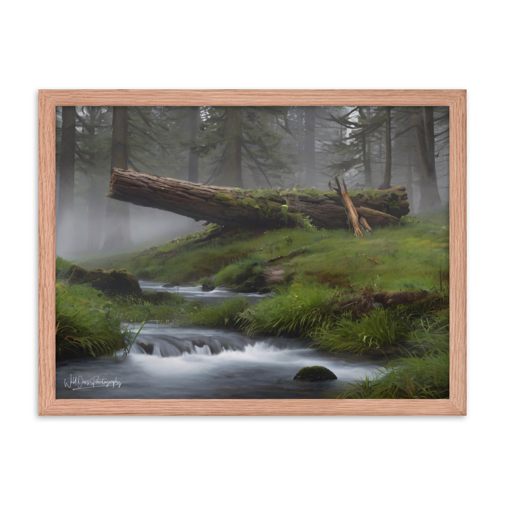 Enchanted Woodland Flow - Framed Paintography