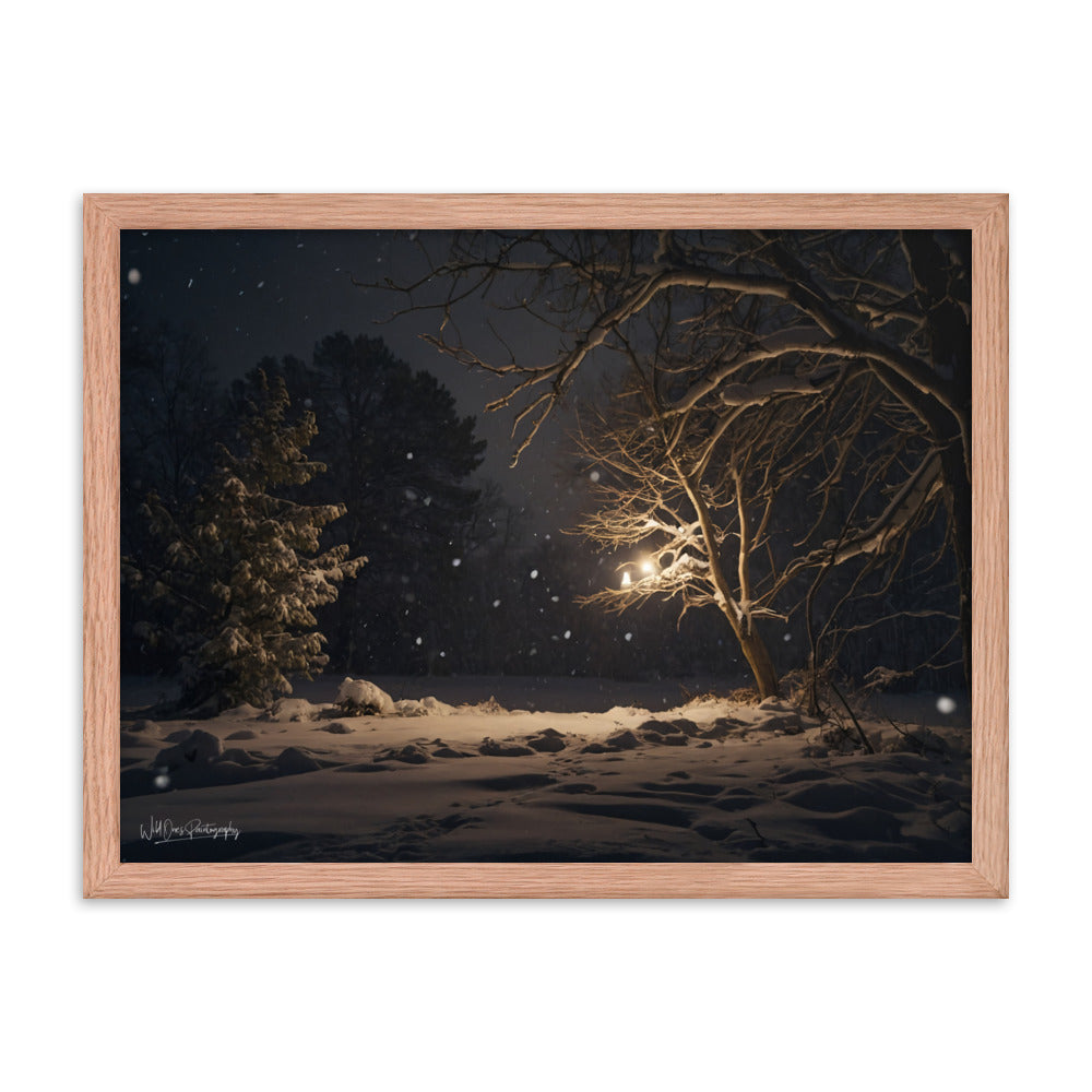 Midnight Snow - Framed Paintography
