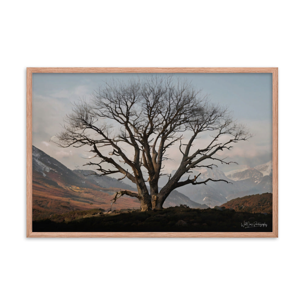 Withstand Time - Framed Paintography
