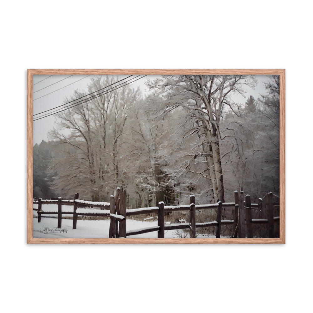 Winter Wonder - Framed Paintography