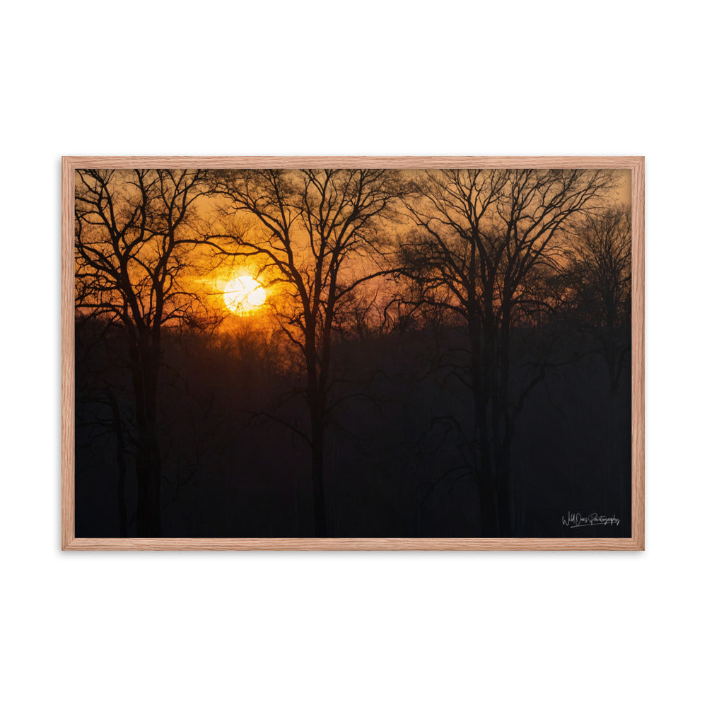 Setting Sun - Framed Paintography
