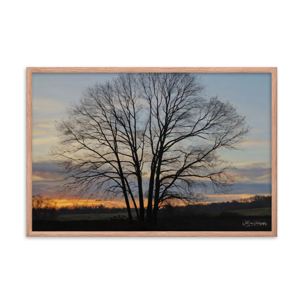 Setting Sun Tree - Framed Paintography