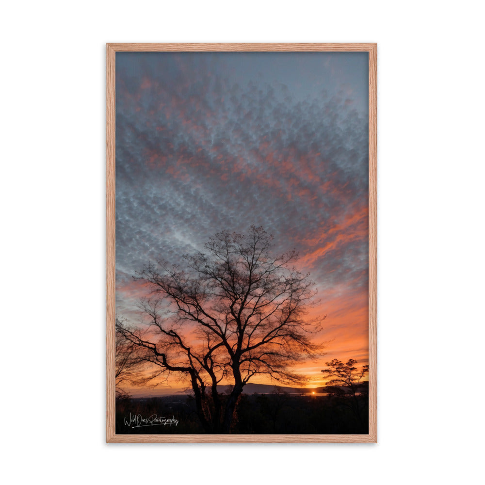 Scenic Sunset - Framed Paintography