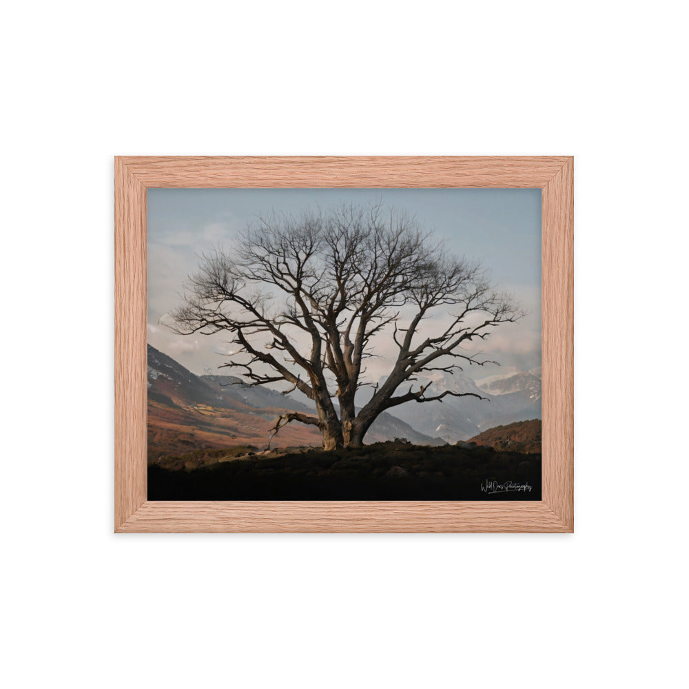 Withstand Time - Framed Paintography
