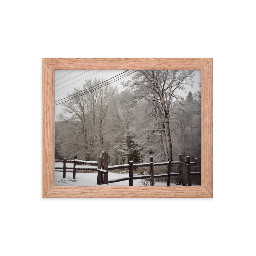 Winter Wonder - Framed Paintography