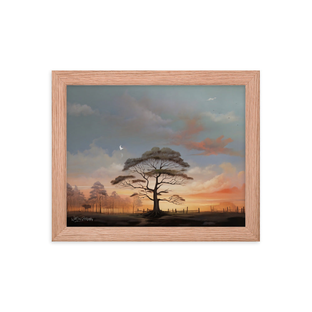 Solo Canopy Sunset - Framed Paintography