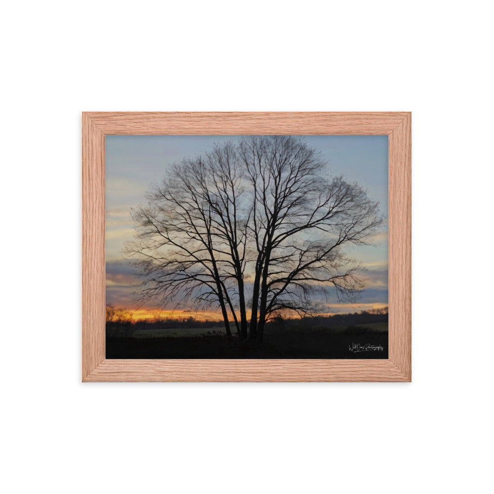 Setting Sun Tree - Framed Paintography