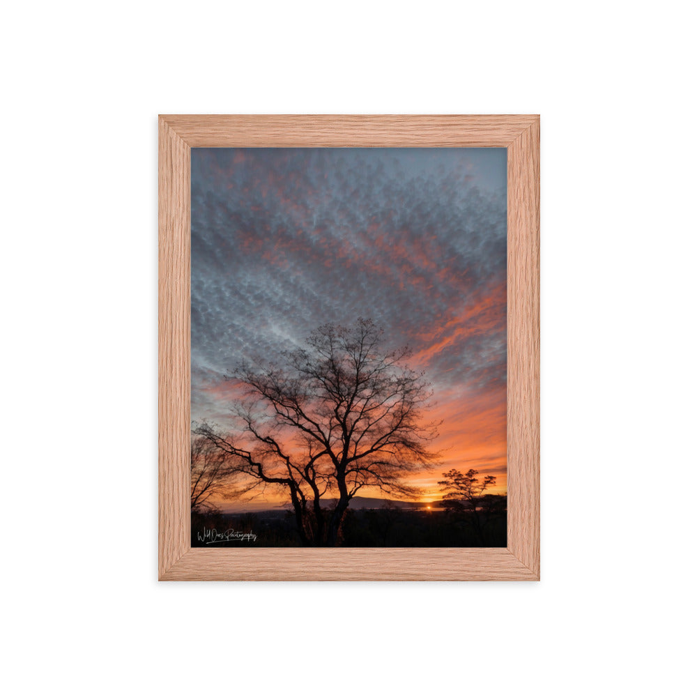 Scenic Sunset - Framed Paintography