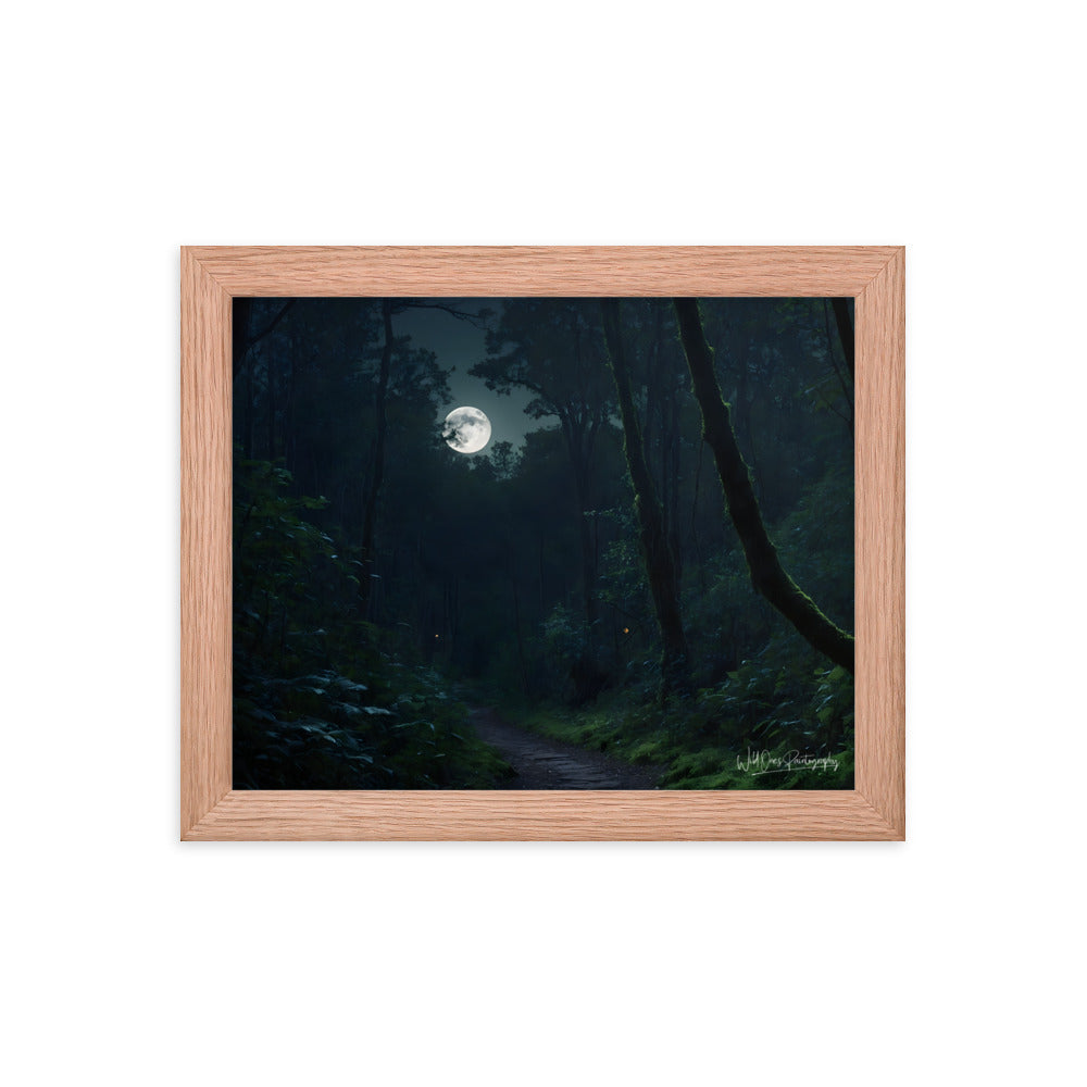 Moonlit Pathway - Framed Paintography