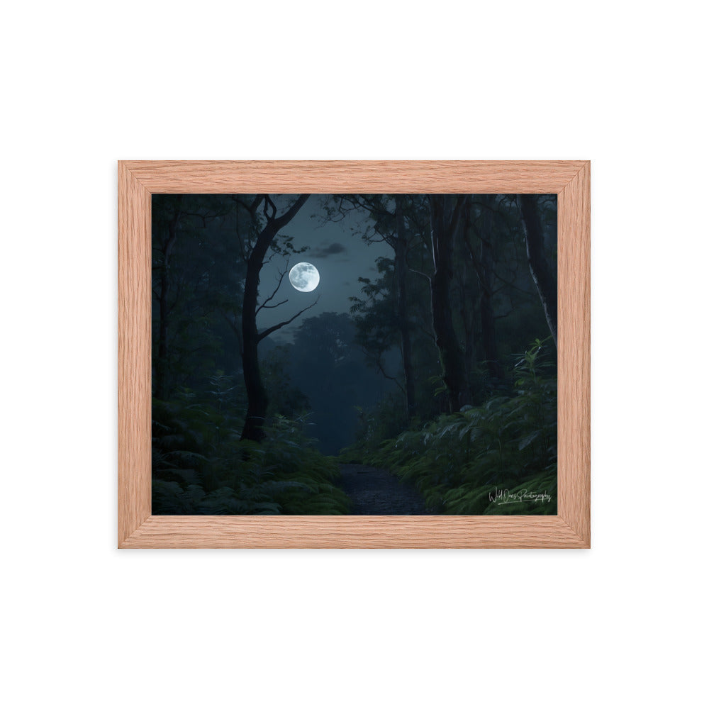 Moonlit Way - Framed Paintography