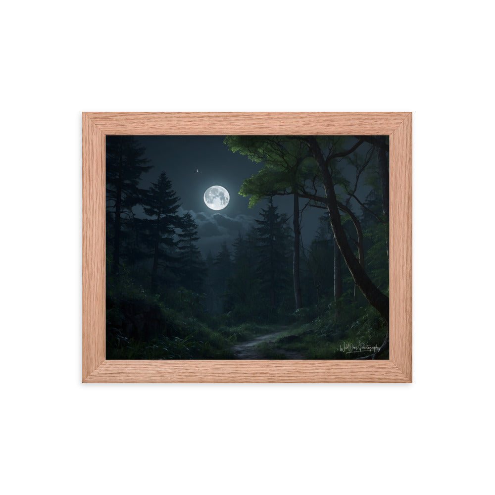 Moonlit Path - Framed Paintography