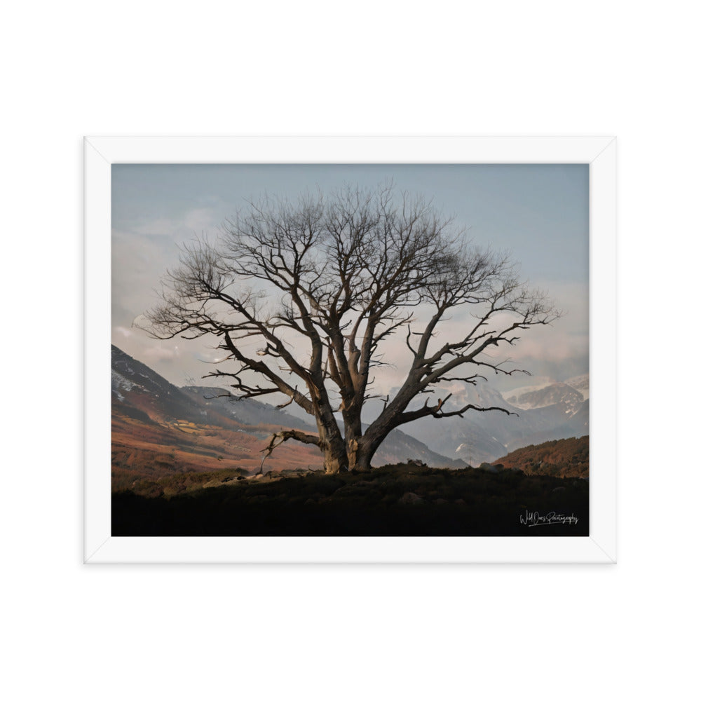 Withstand Time - Framed Paintography