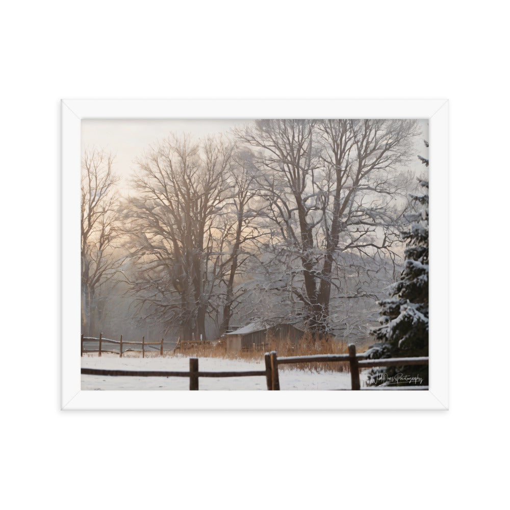 Winter Wonder Shed - Framed Paintography