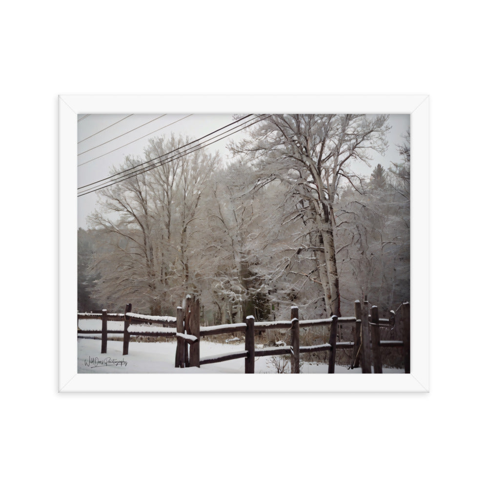 Winter Wonder - Framed Paintography