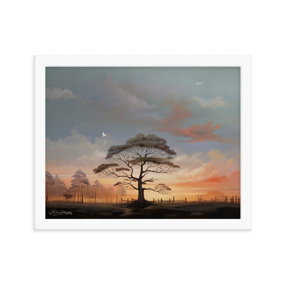 Solo Canopy Sunset - Framed Paintography