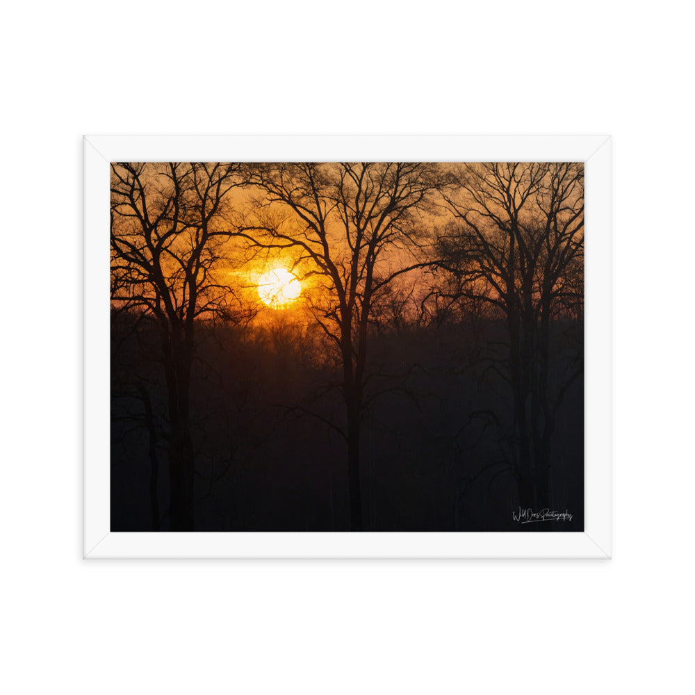 Setting Sun - Framed Paintography